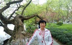 甘婷婷娱乐盒子